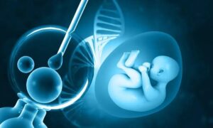 科学家测试的 100% 人类胎盘中发现了潜在有毒的微塑料，他们表示“这个星球上的所有哺乳动物生命都可能受到影响”